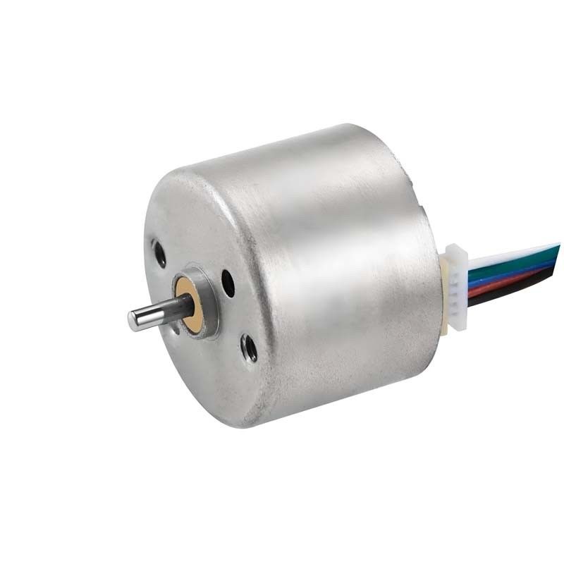 12V 24mm ব্রাশহীন ডিসি মোটর চুল curler এবং চিকিৎসা সরঞ্জাম জন্য BLDC মোটর