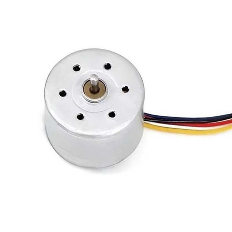 24 মিমি ব্রাশহীন ডিসি বৈদ্যুতিক মোটর 12V 24V কাস্টমাইজযোগ্য সেন্সরযুক্ত বিএলডিসি মোটর চুল কাটার জন্য মিনি বৈদ্যুতিক ফ্যান