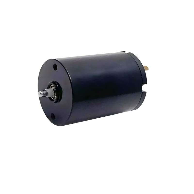 16 মিমি ব্রাশড ডিসি মোটর 1.57 ওয়াট 9980rpm 24V কাস্টমাইজড মাইক্রো ব্রাশড মোটর